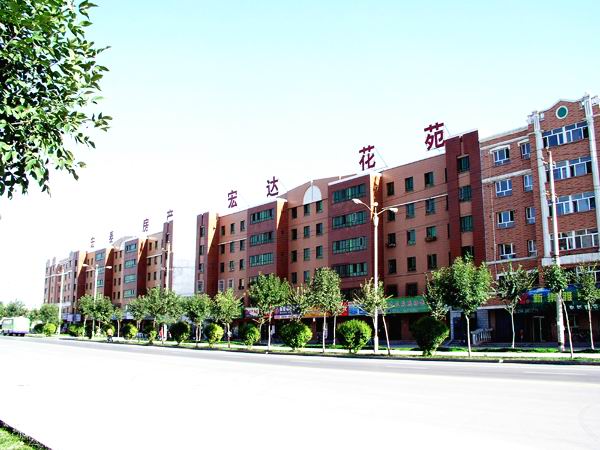 5996b4546d100.jpg P1010791.jpg