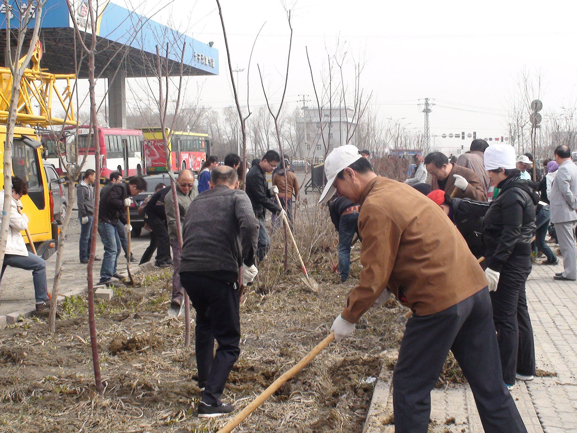 599e3da0de270.jpg DSC01388.jpg